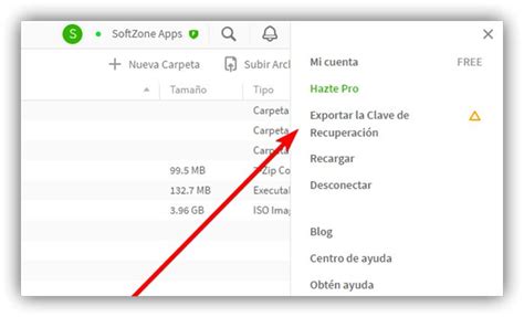 mega recoverykey.